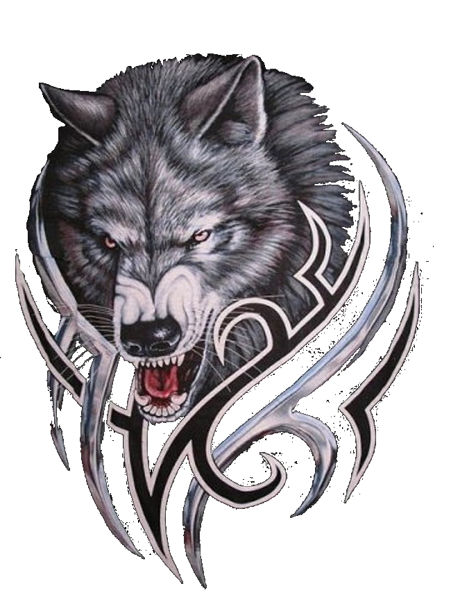 Gray Werewolf Wolf Bitcoin Logo Transparent PNG Image