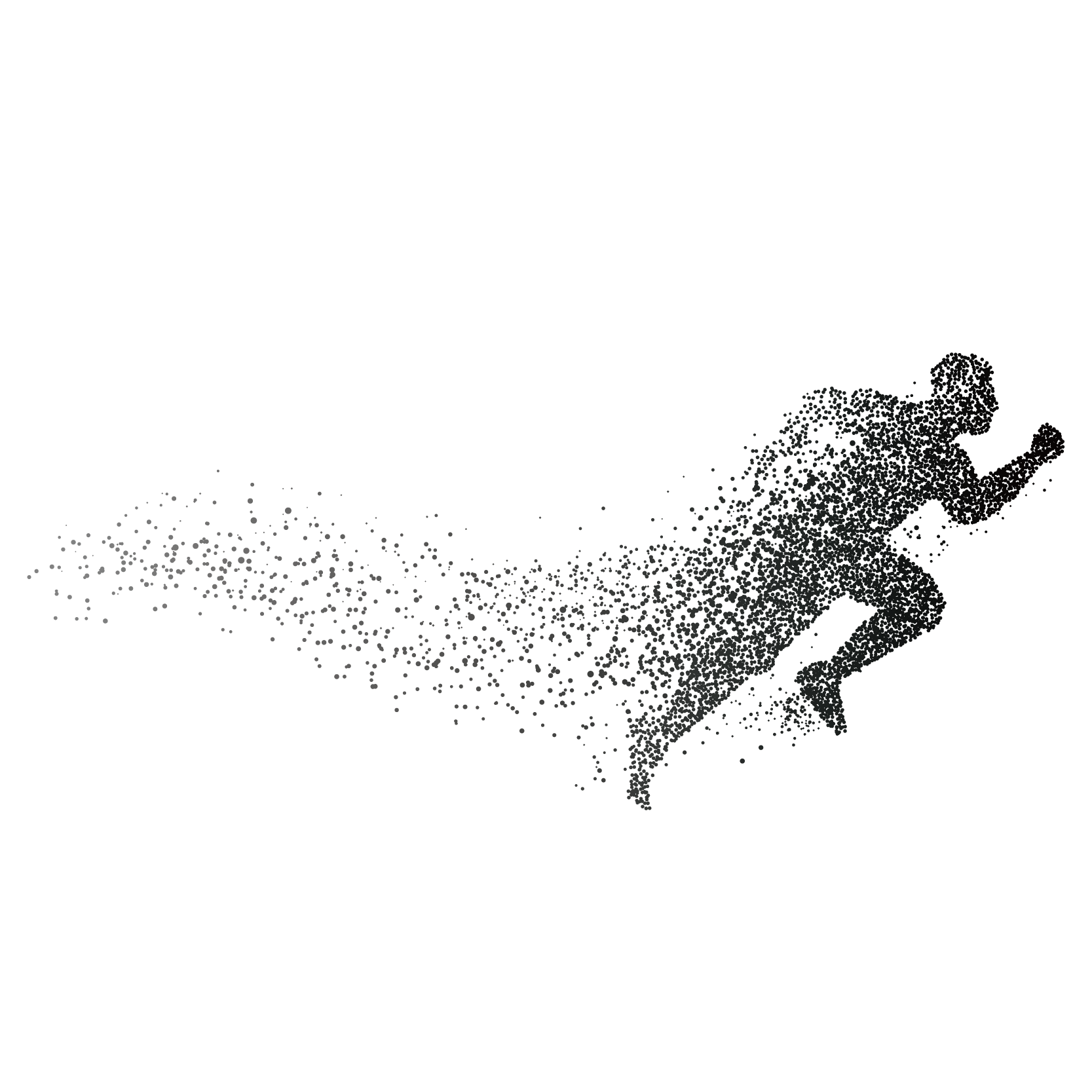 Designer Coreldraw Pattern graphy Graphic Cdr Monochrome Transparent PNG Image