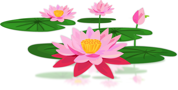 Lotus Transparent PNG Image