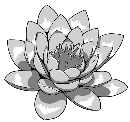 Lotus Tattoos Transparent PNG Image