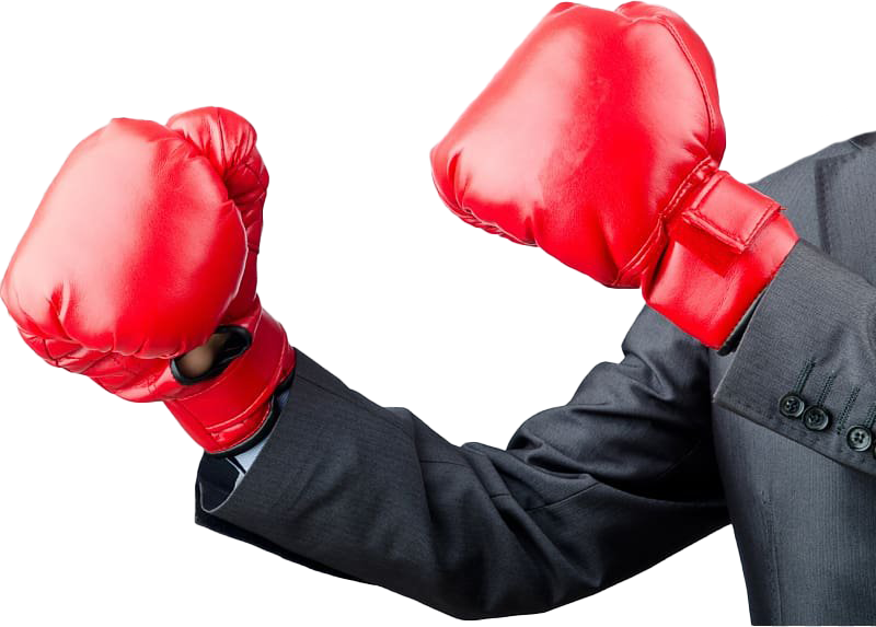Gloves Mma Transparent PNG Image