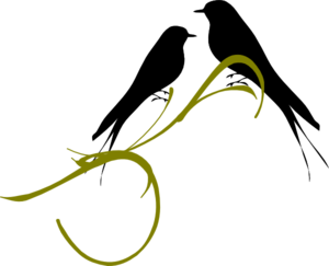Love Birds Transparent PNG Image