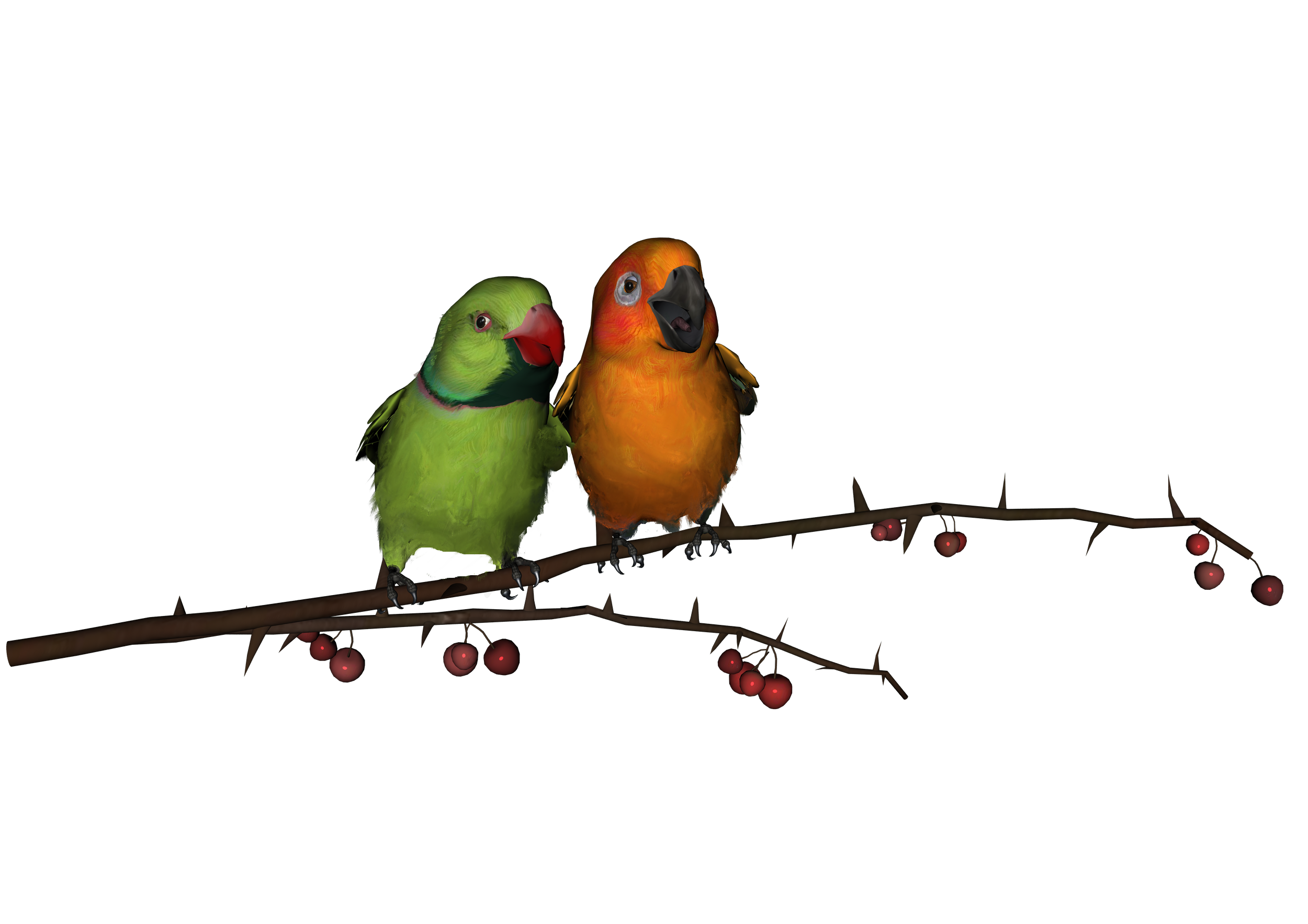 Love Birds Transparent PNG Image