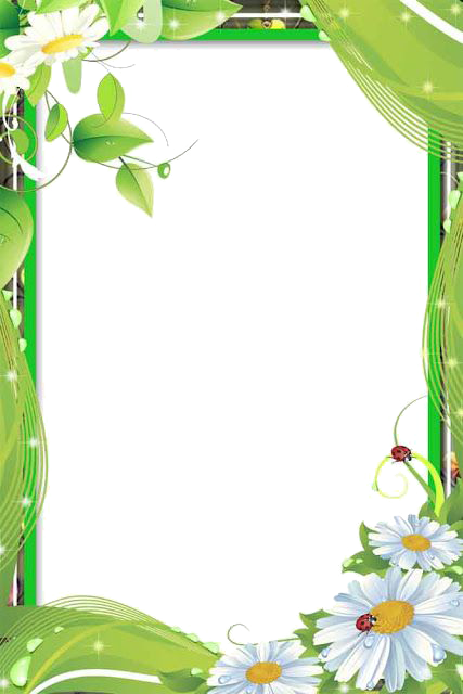 Love Frame Transparent PNG Image