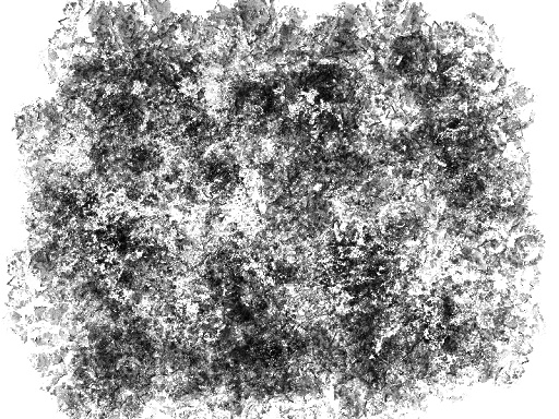 Texture Transparent PNG Image