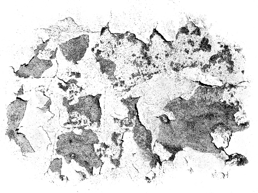 Texture Transparent PNG Image