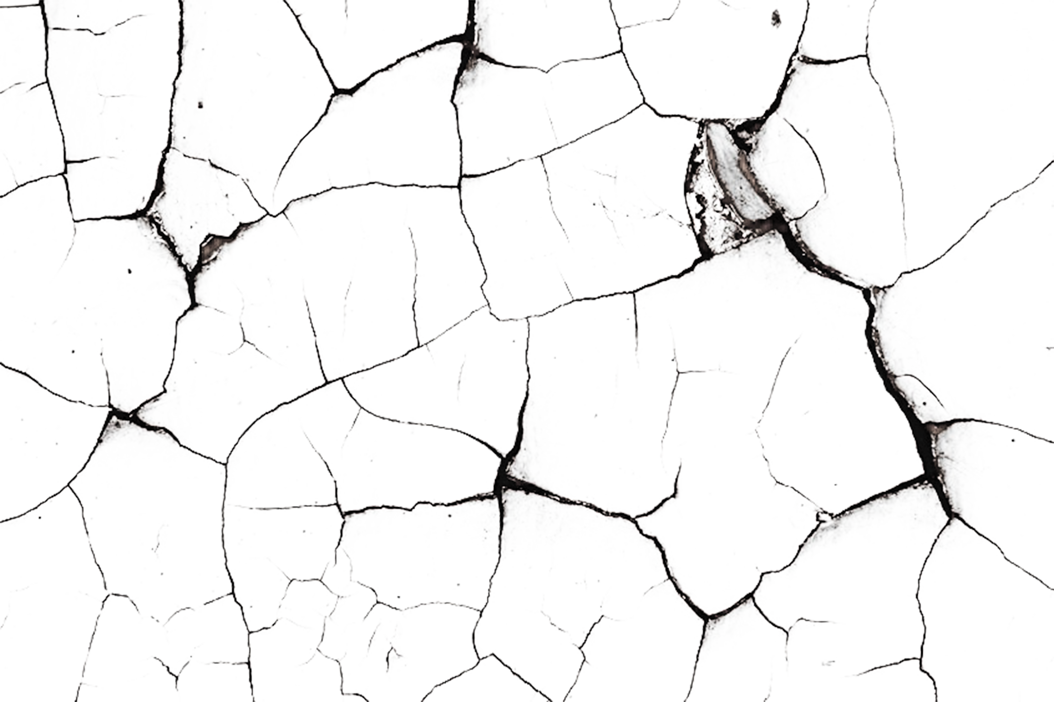 Texture Transparent PNG Image