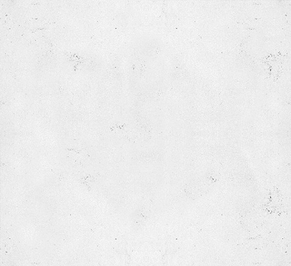 Texture Transparent PNG Image