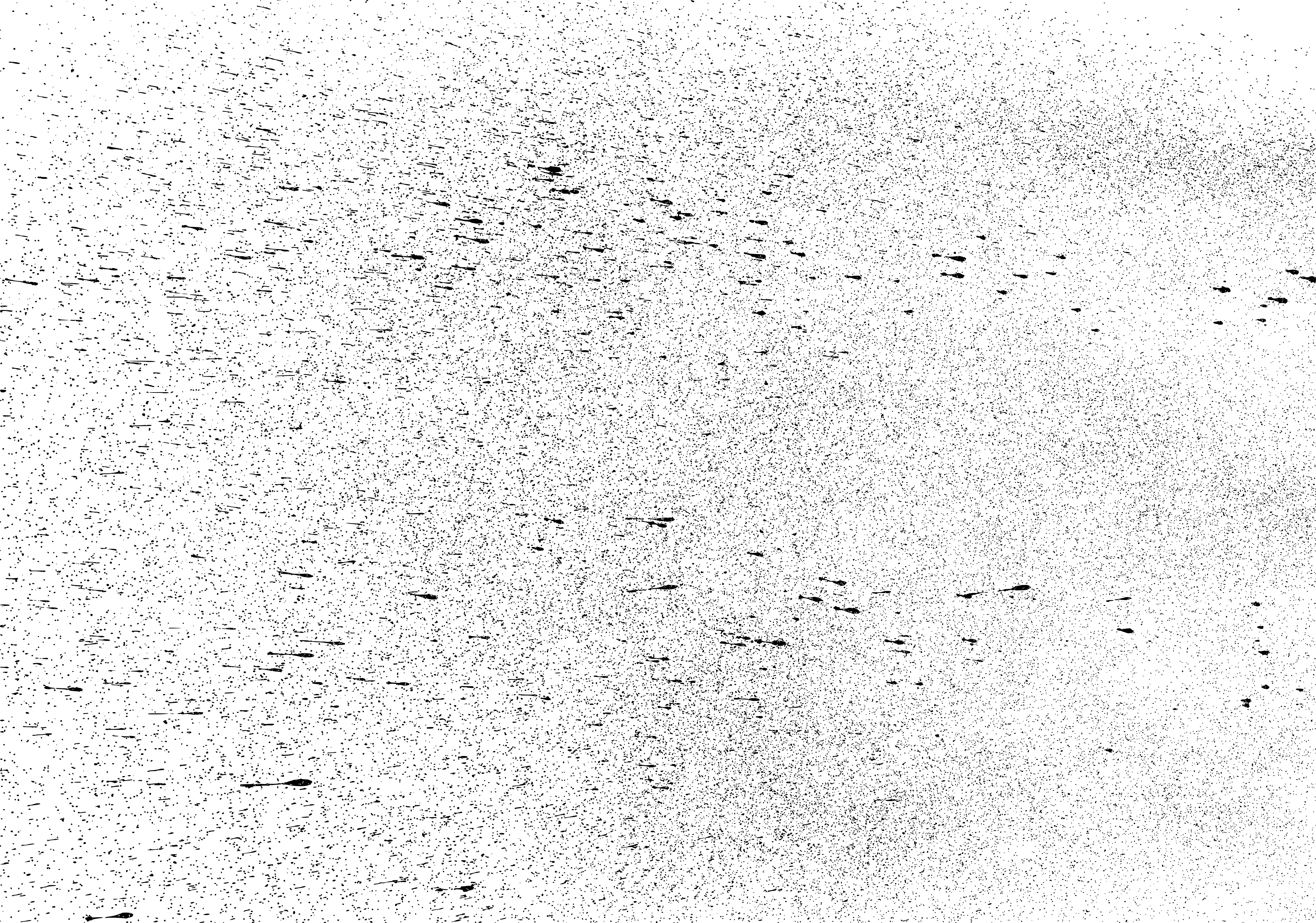Grunge Texture Transparent PNG Image