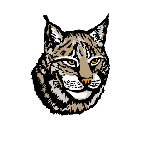 Lynx Transparent PNG Image