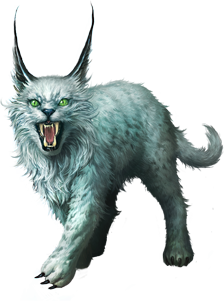 Lynx Transparent PNG Image