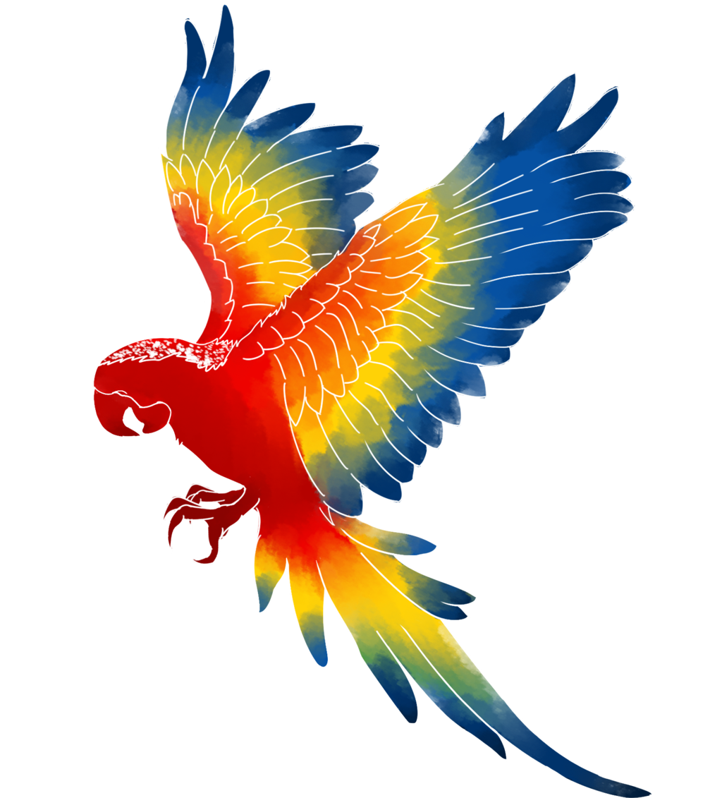 Macaw Transparent PNG Image