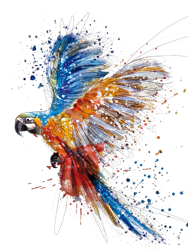 Watercolor Paint Art Painting Drawing Transparent PNG Image