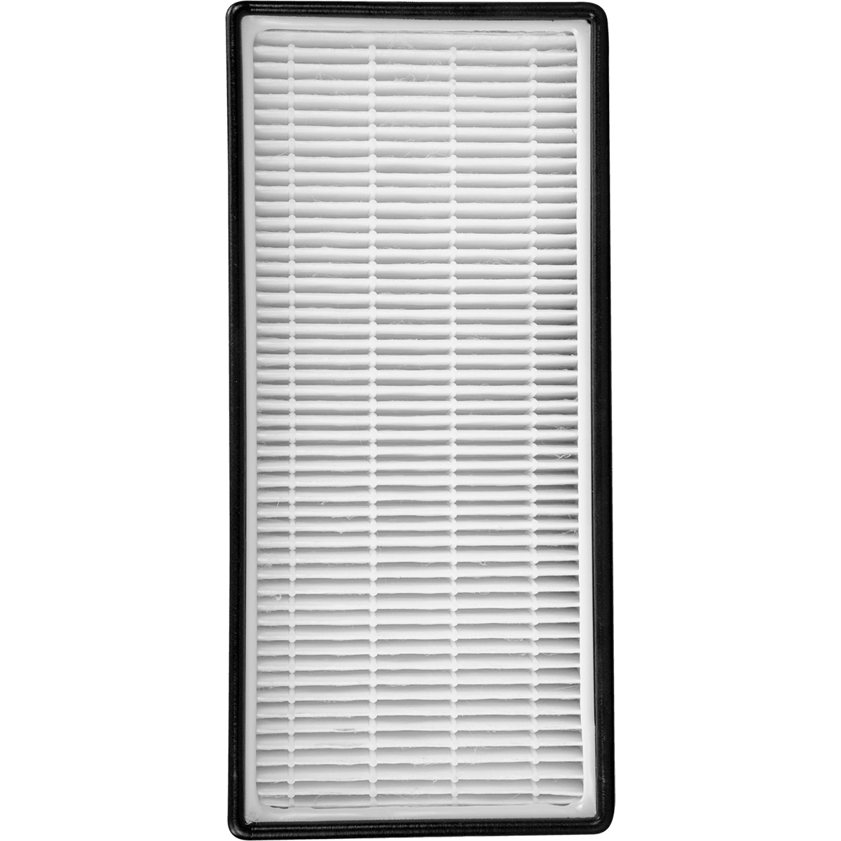 Living Purifier Air Transparent PNG Image