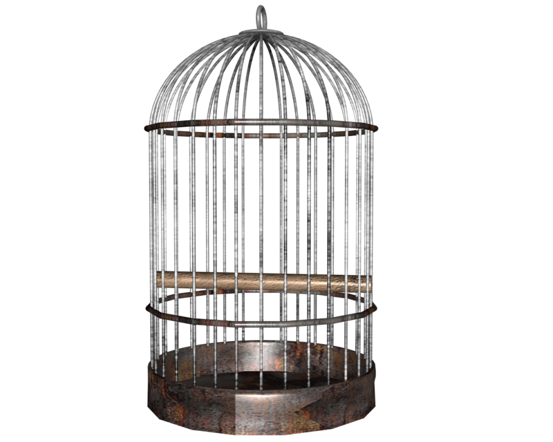 Cage Transparent PNG Image