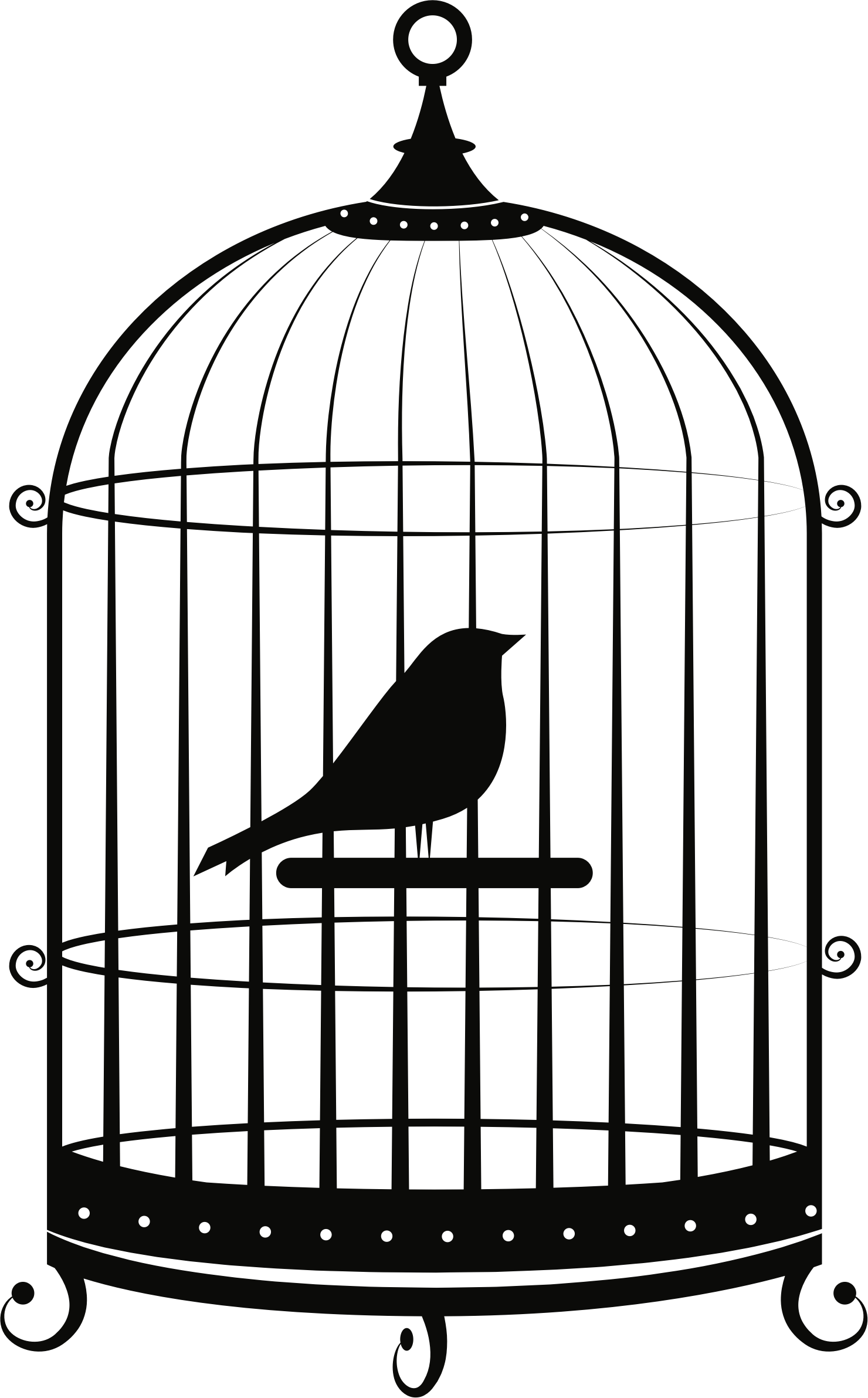 Cage Transparent PNG Image