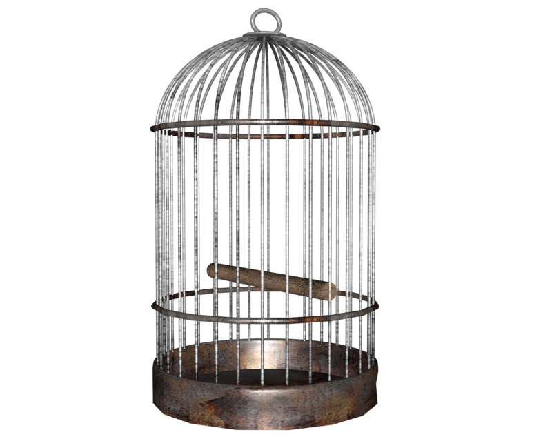Cage Transparent PNG Image
