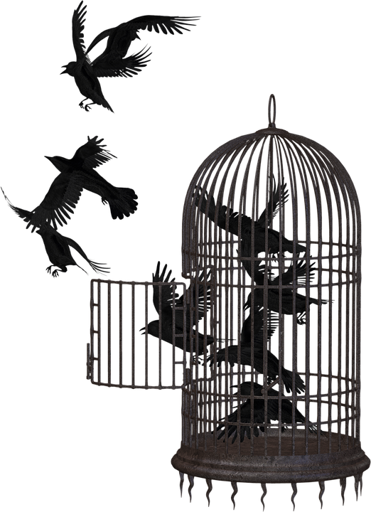 Cage Transparent PNG Image