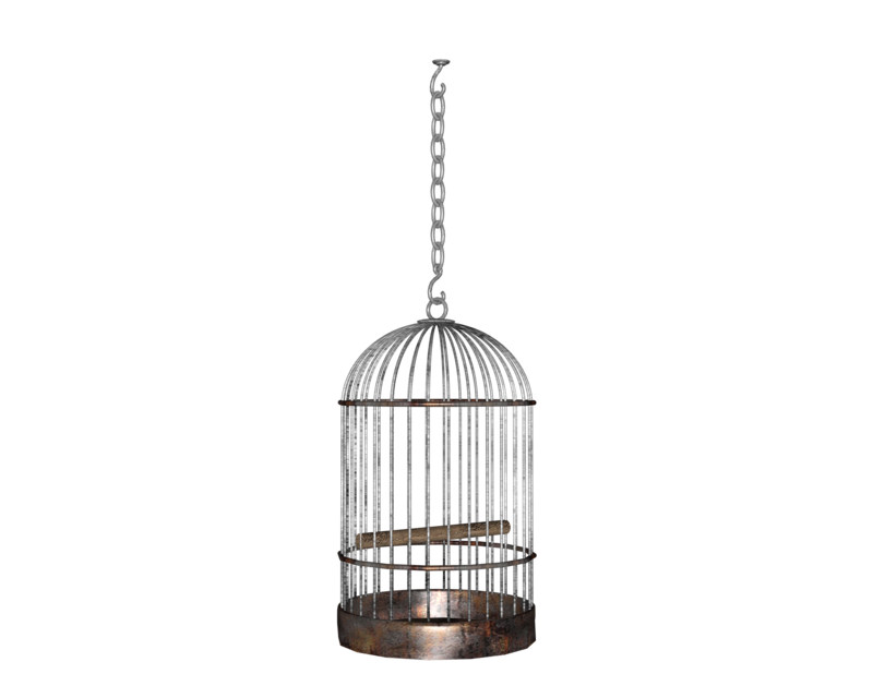 Cage Transparent PNG Image