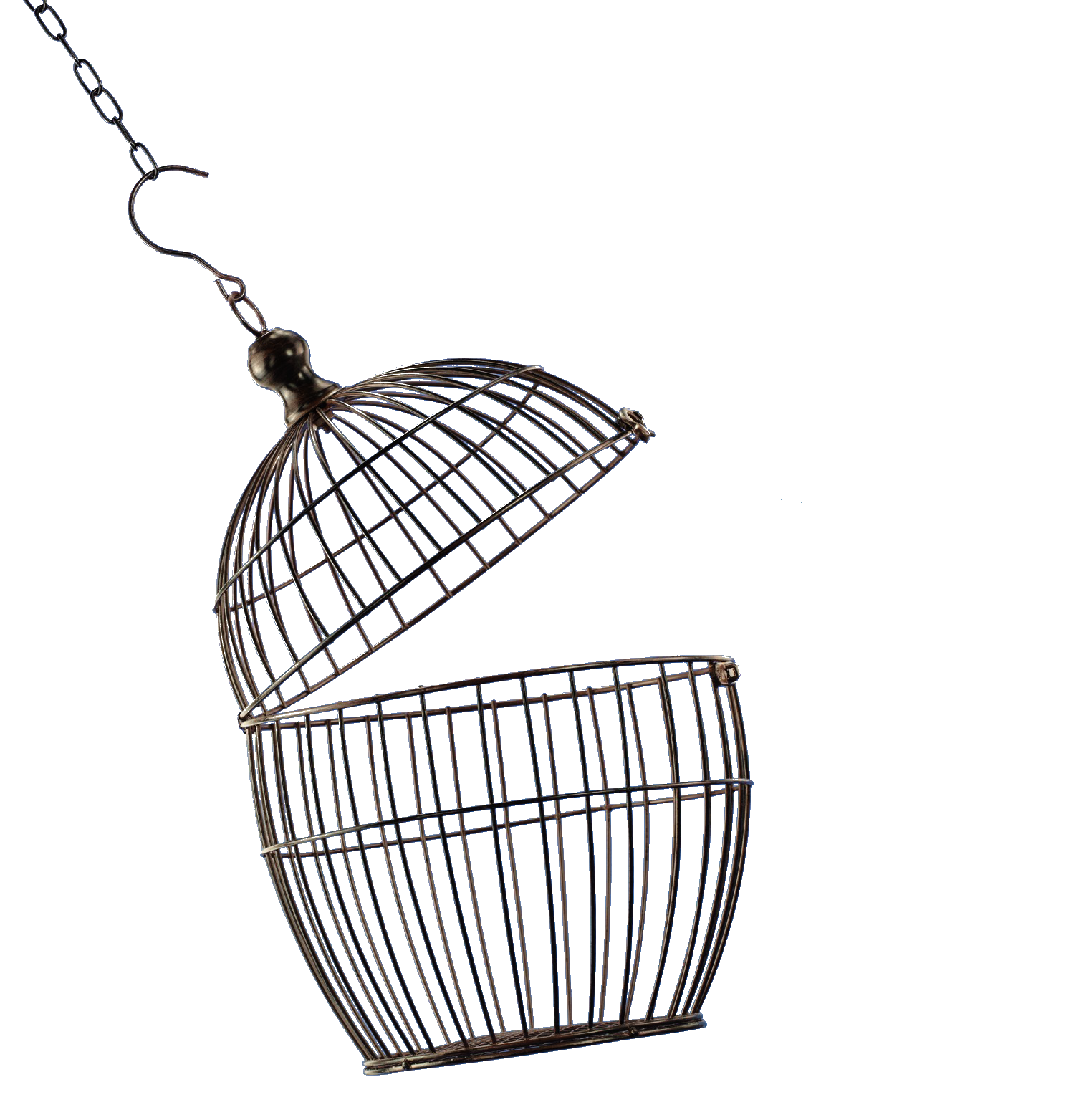 Cage Transparent PNG Image