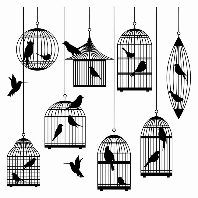Caged Bird Transparent PNG Image