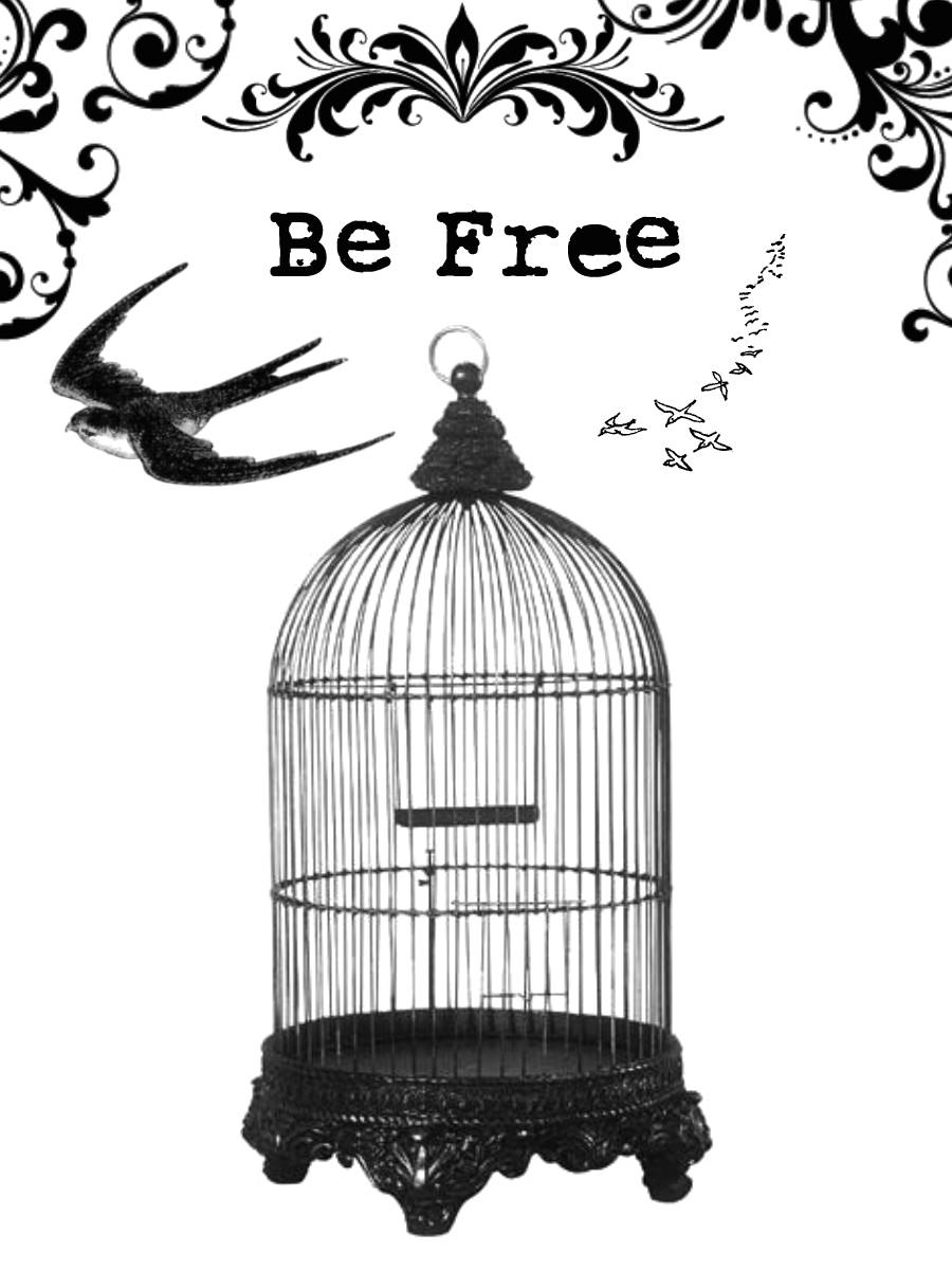Caged Bird Transparent PNG Image