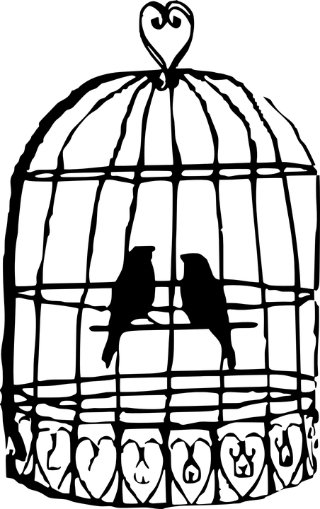 Caged Bird Transparent PNG Image