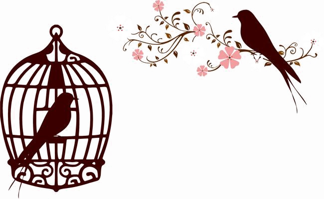 Caged Bird Transparent PNG Image