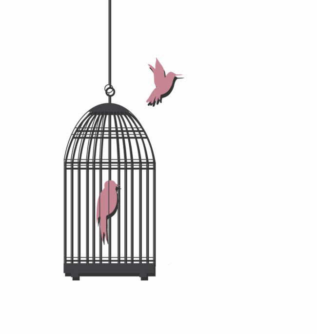 Caged Bird Transparent PNG Image