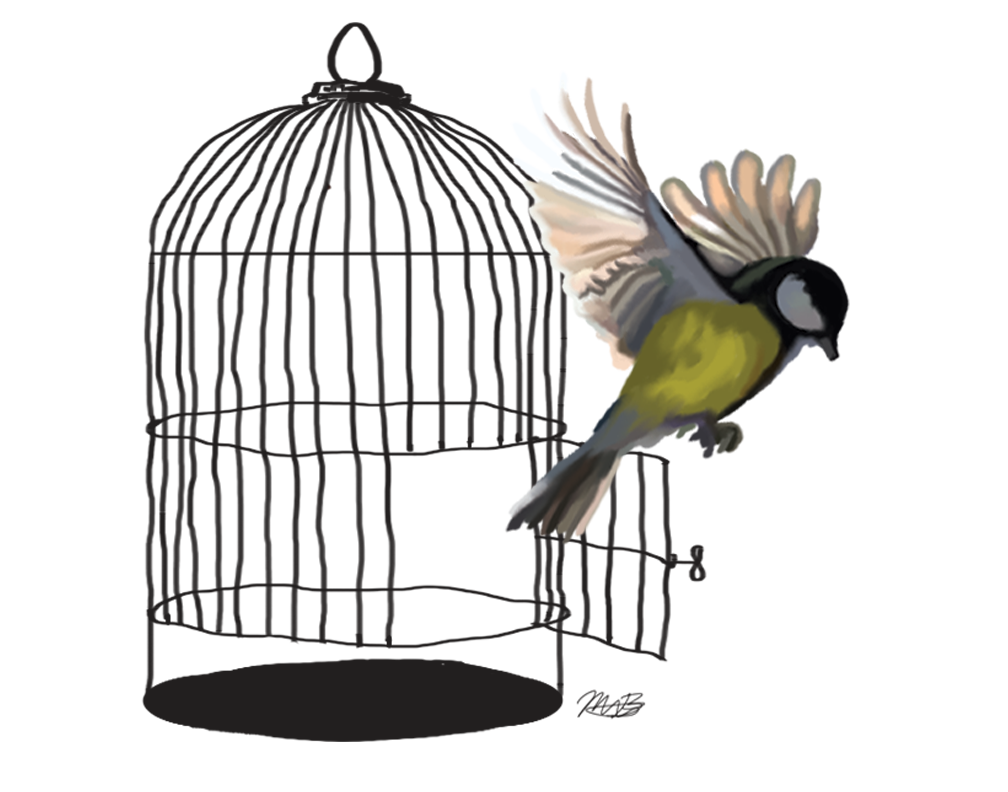 Caged Bird Transparent PNG Image