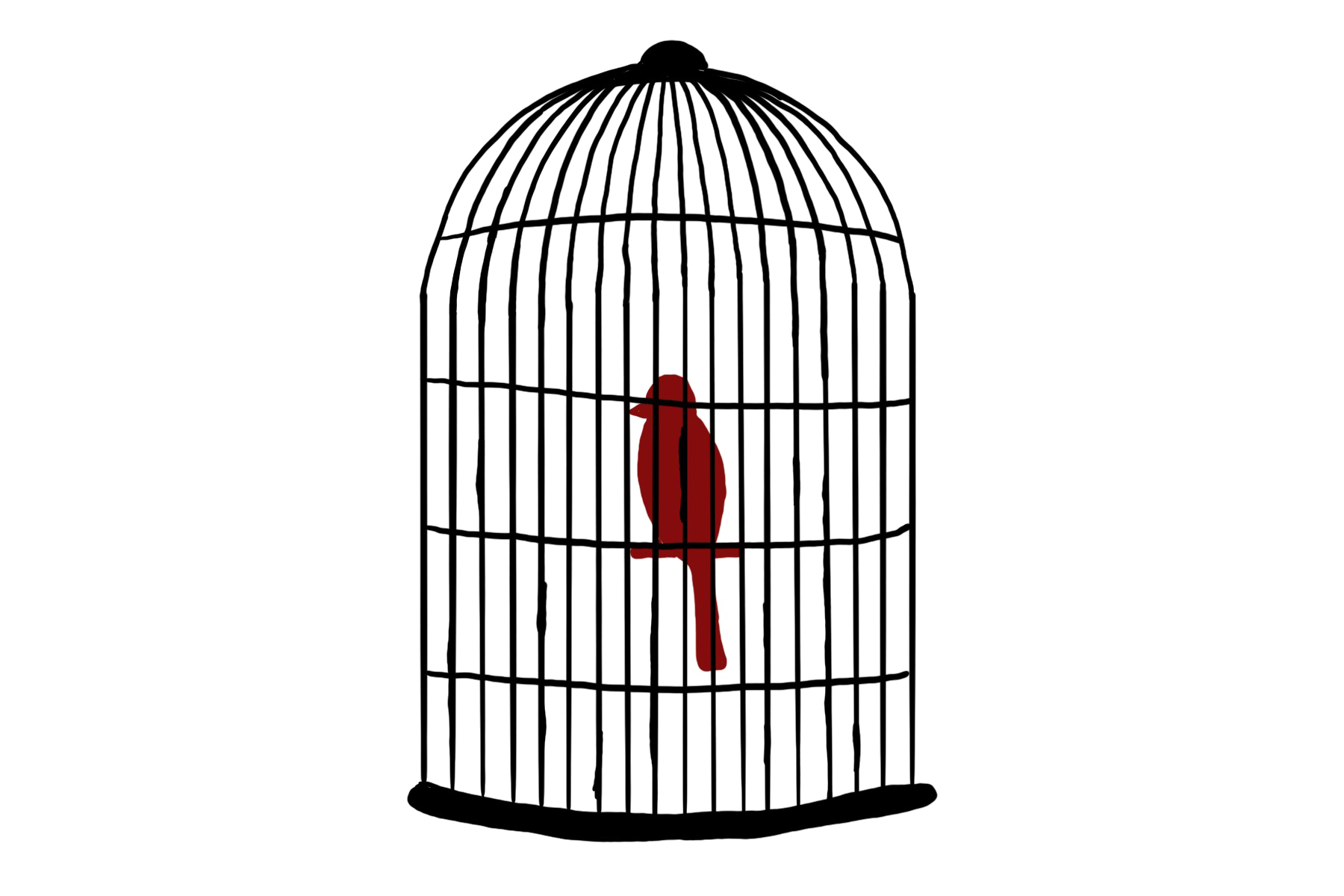 Caged Bird Transparent PNG Image