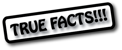 Fact Transparent PNG Image