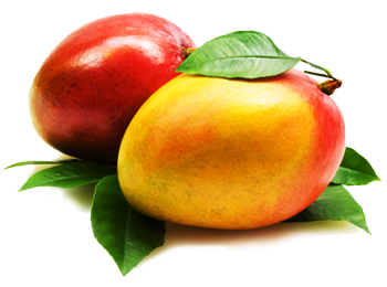 Mango Transparent PNG Image