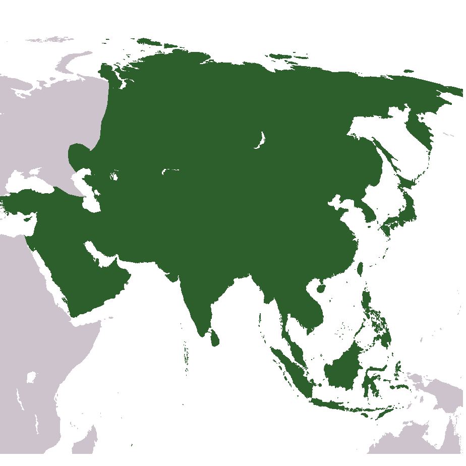 Map Asia Transparent PNG Image