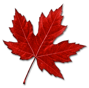 Canada Leaf Transparent PNG Image