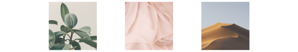 Mario Badescu Transparent PNG Image