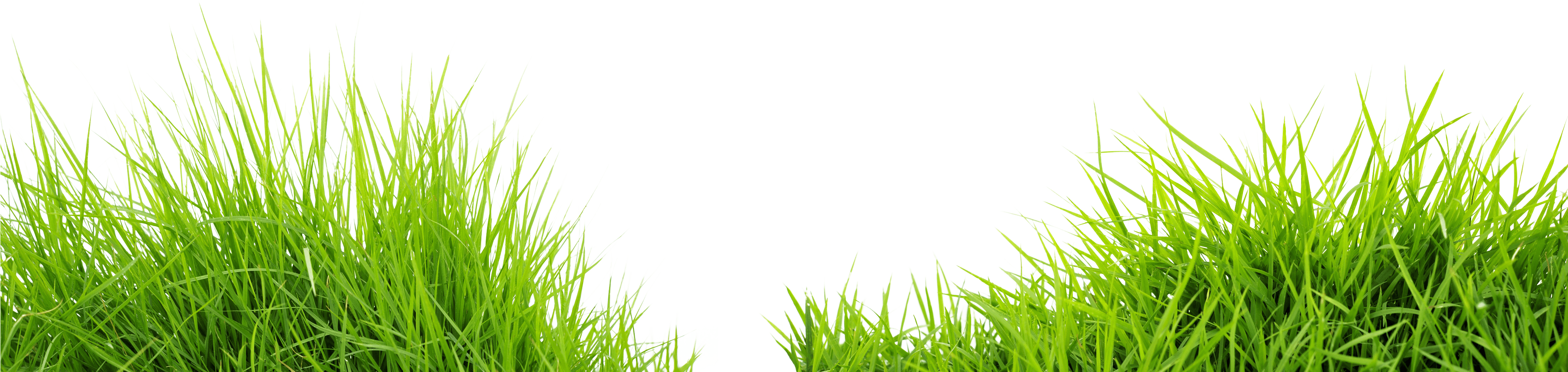 Field Meadow Transparent PNG Image