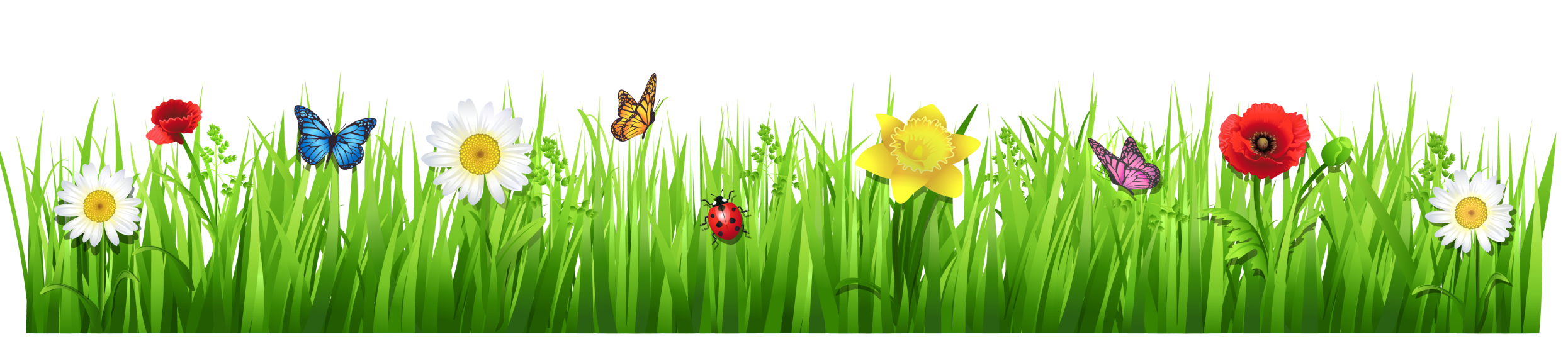 Field Meadow Transparent PNG Image