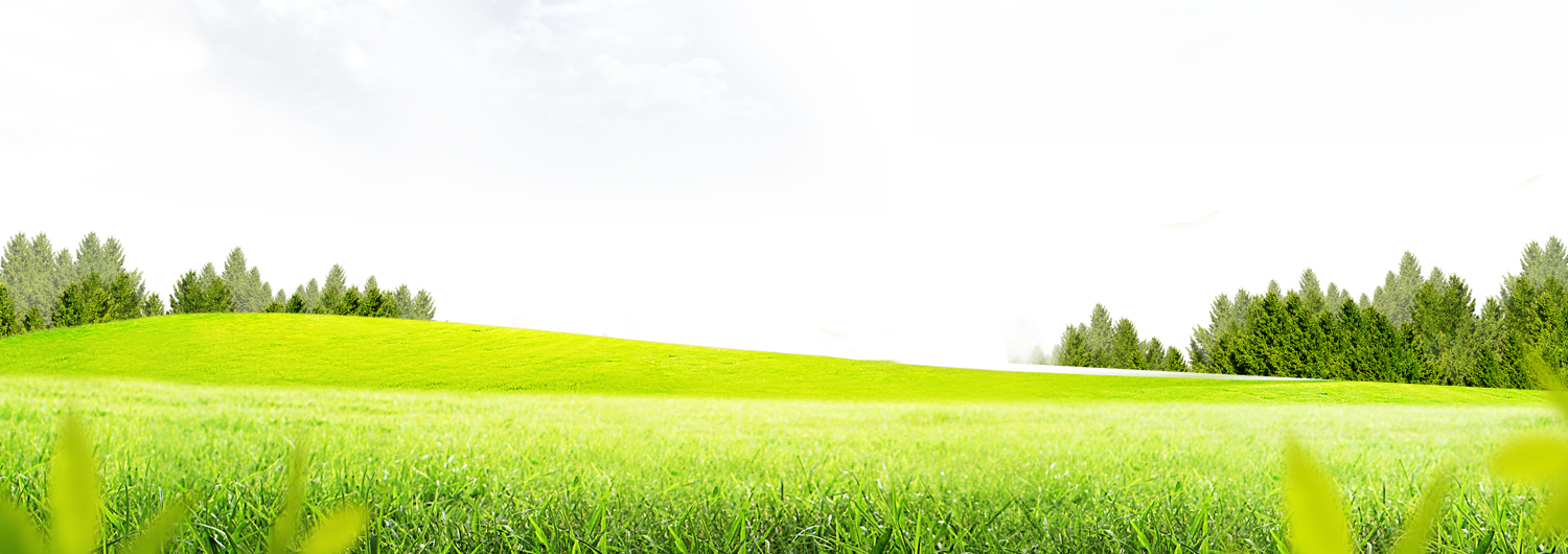 Meadow Greenscape Transparent PNG Image