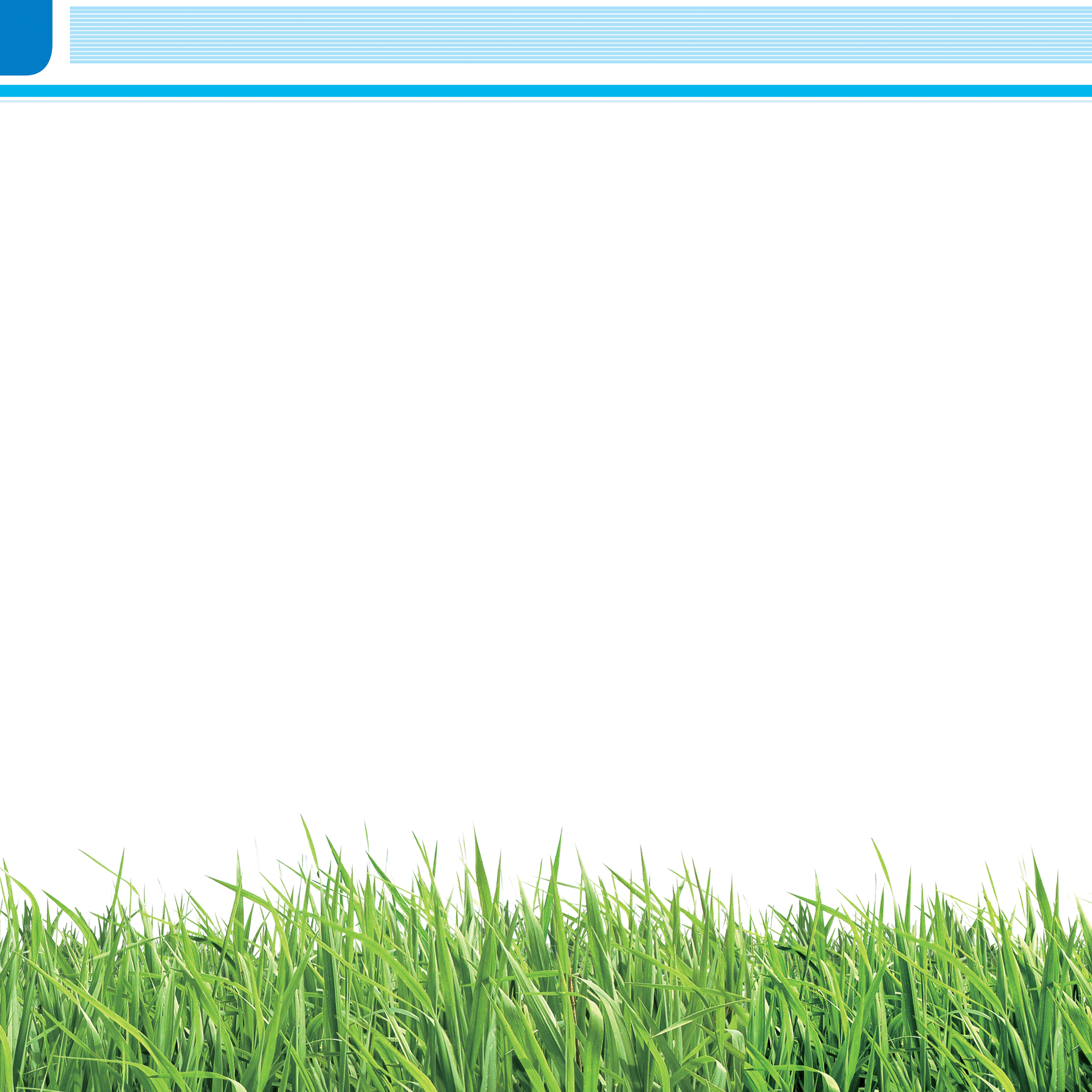 Meadow Transparent PNG Image