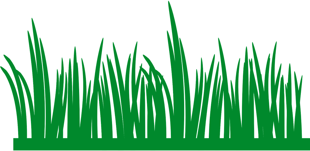 Pic Meadow Transparent PNG Image
