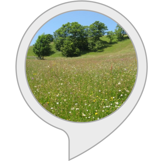 Meadow Transparent PNG Image