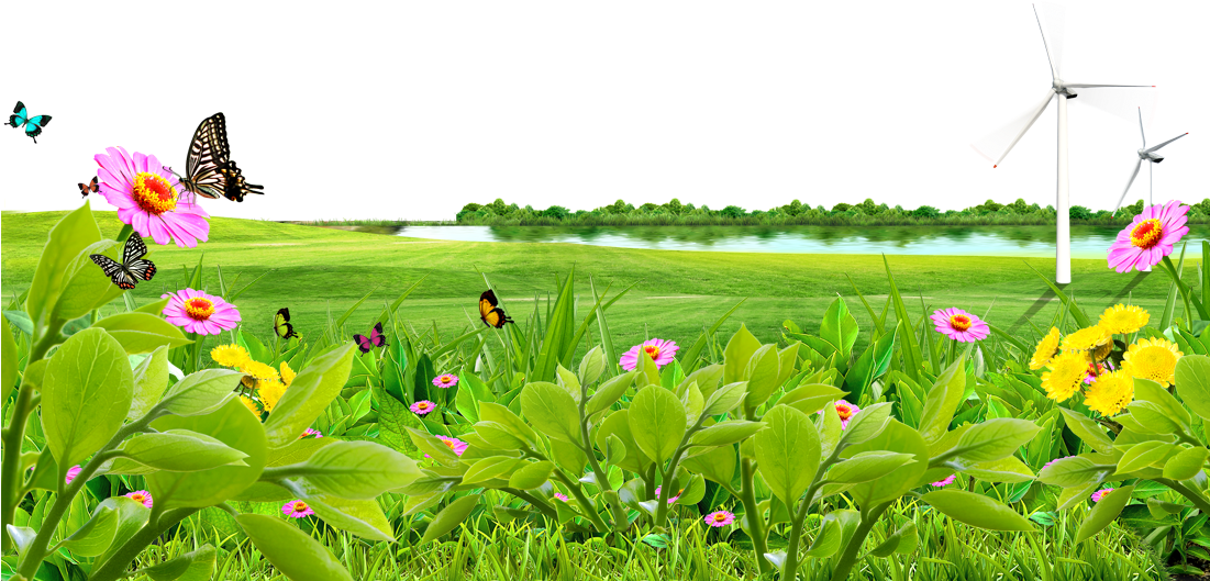 Meadow Transparent PNG Image