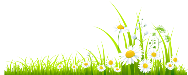 Summer Meadow Transparent PNG Image