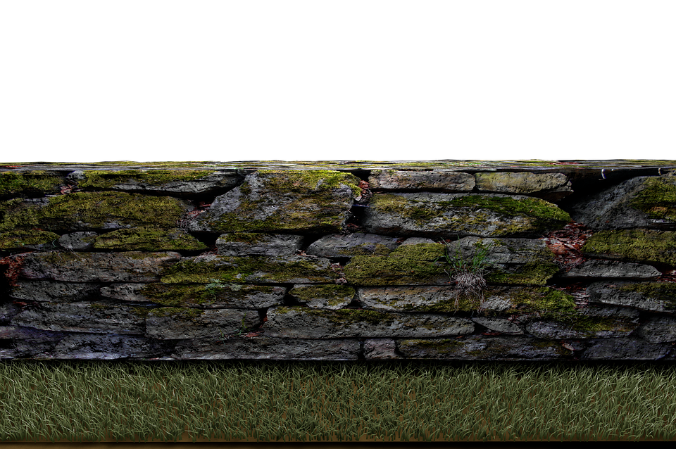 Summer Meadow Transparent PNG Image