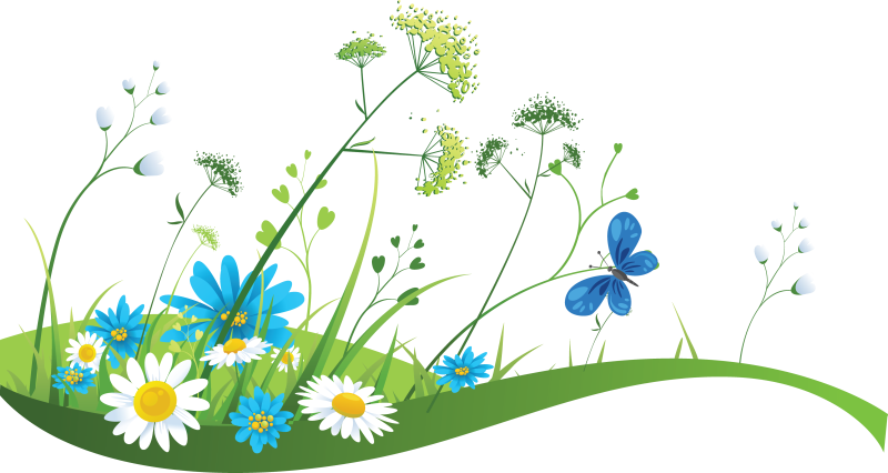 Summer Meadow Transparent PNG Image
