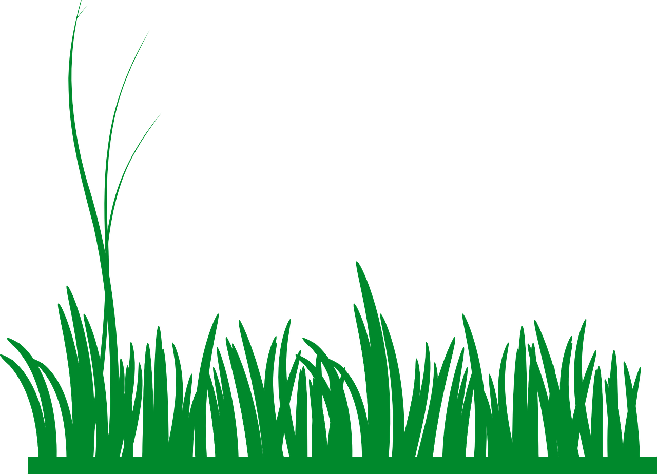 Summer Meadow Transparent PNG Image