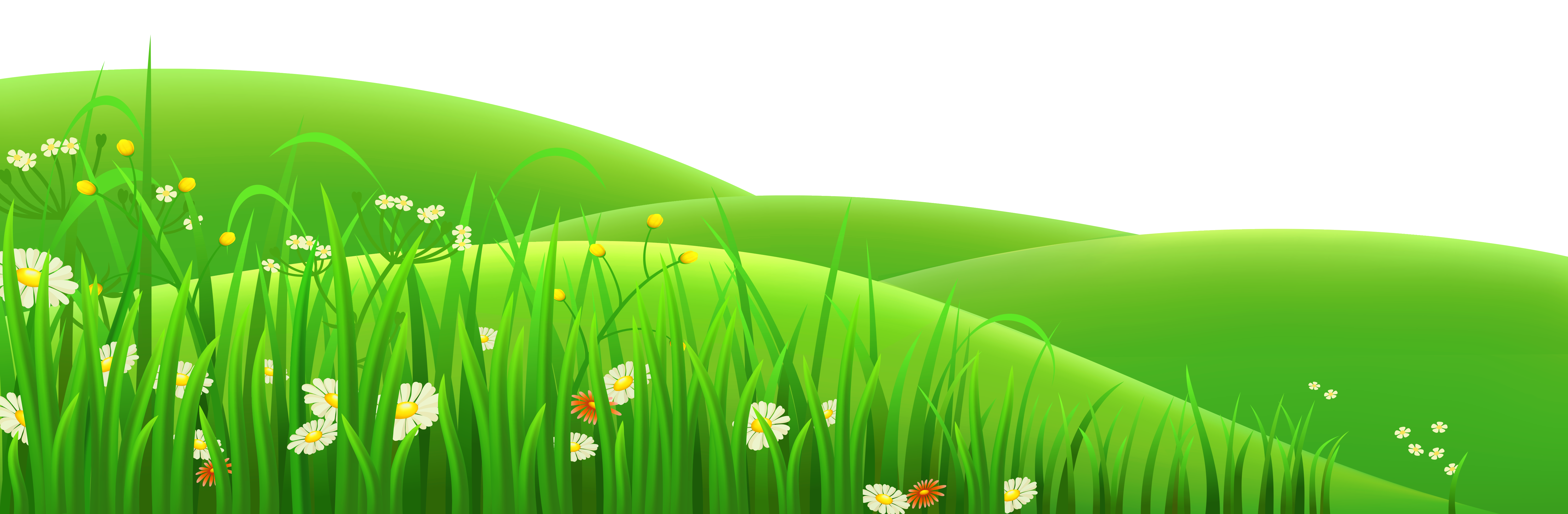 Summer Meadow Transparent PNG Image