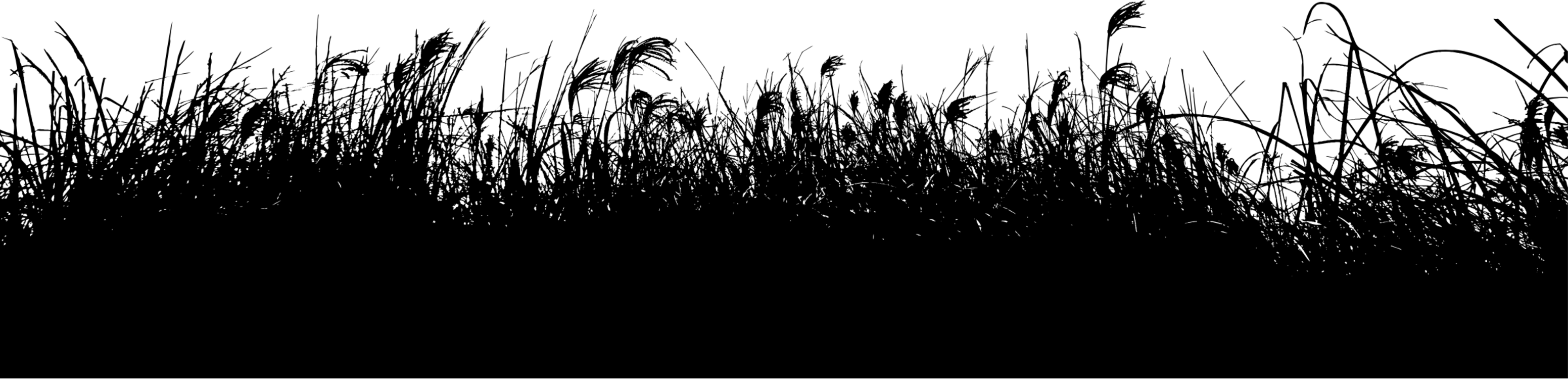 Summer Meadow Transparent PNG Image