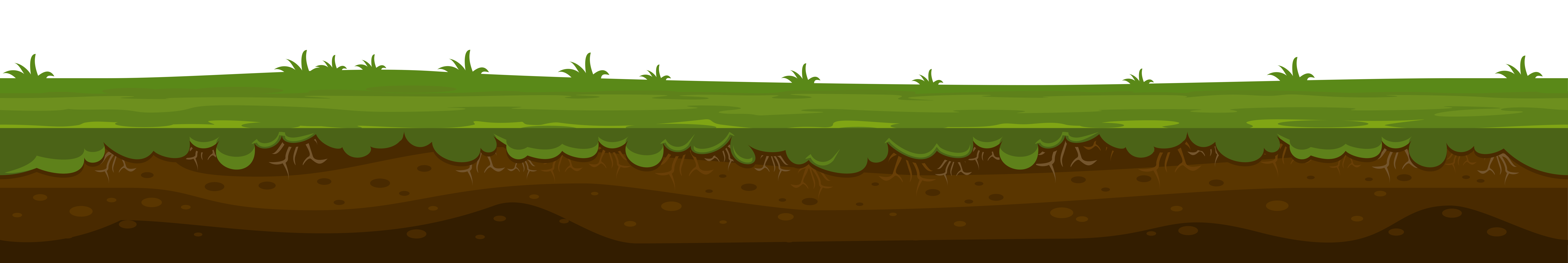 Summer Meadow Transparent PNG Image